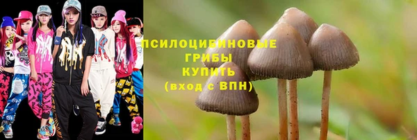 стафф Алексин