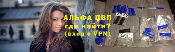 стафф Алексин