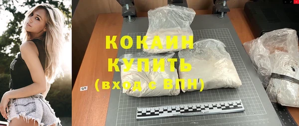 стафф Алексин