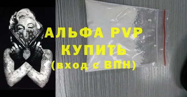стафф Алексин