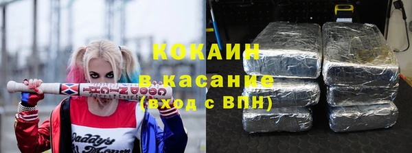 стафф Алексин