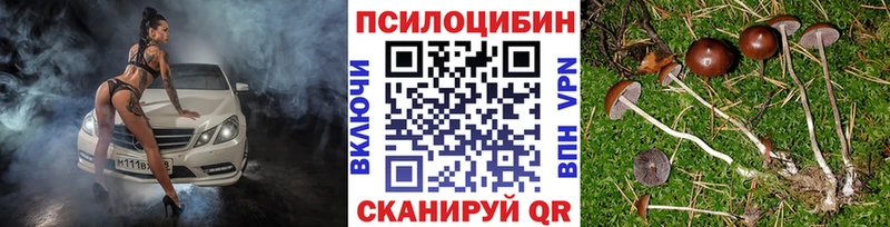 сколько стоит  Апрелевка  Галлюциногенные грибы мицелий 