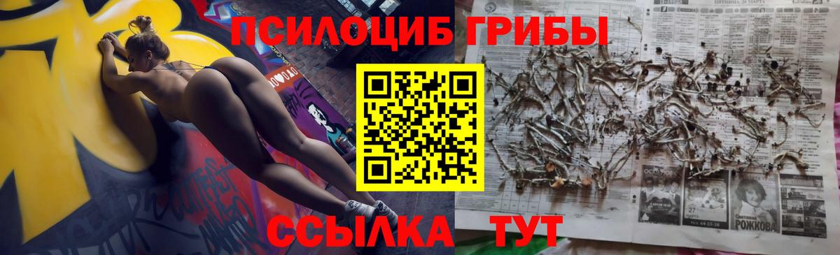 хочу   Псилоцибиновые грибы прущие грибы  Вход с VPN  Апрелевка 